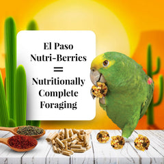LAFEBER'S El Paso Nutri-Berries