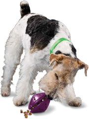 PetSafe Busy Buddy Twist 'n Treat Dispensing Dog Toy