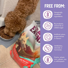 Health Extension Grain Free Buffalo & Whitefish Dry Dog Food (4 lb / 1.81 kg) - Whole Foods Ingredients Formula with Omega 3 & Antioxidants for All Life Stages Dogs