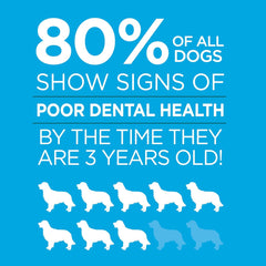 Brush Free Oral Gel for Dogs | Vet Formulated Dental Care with ProLong Technology | Cleans Teeth and Gums