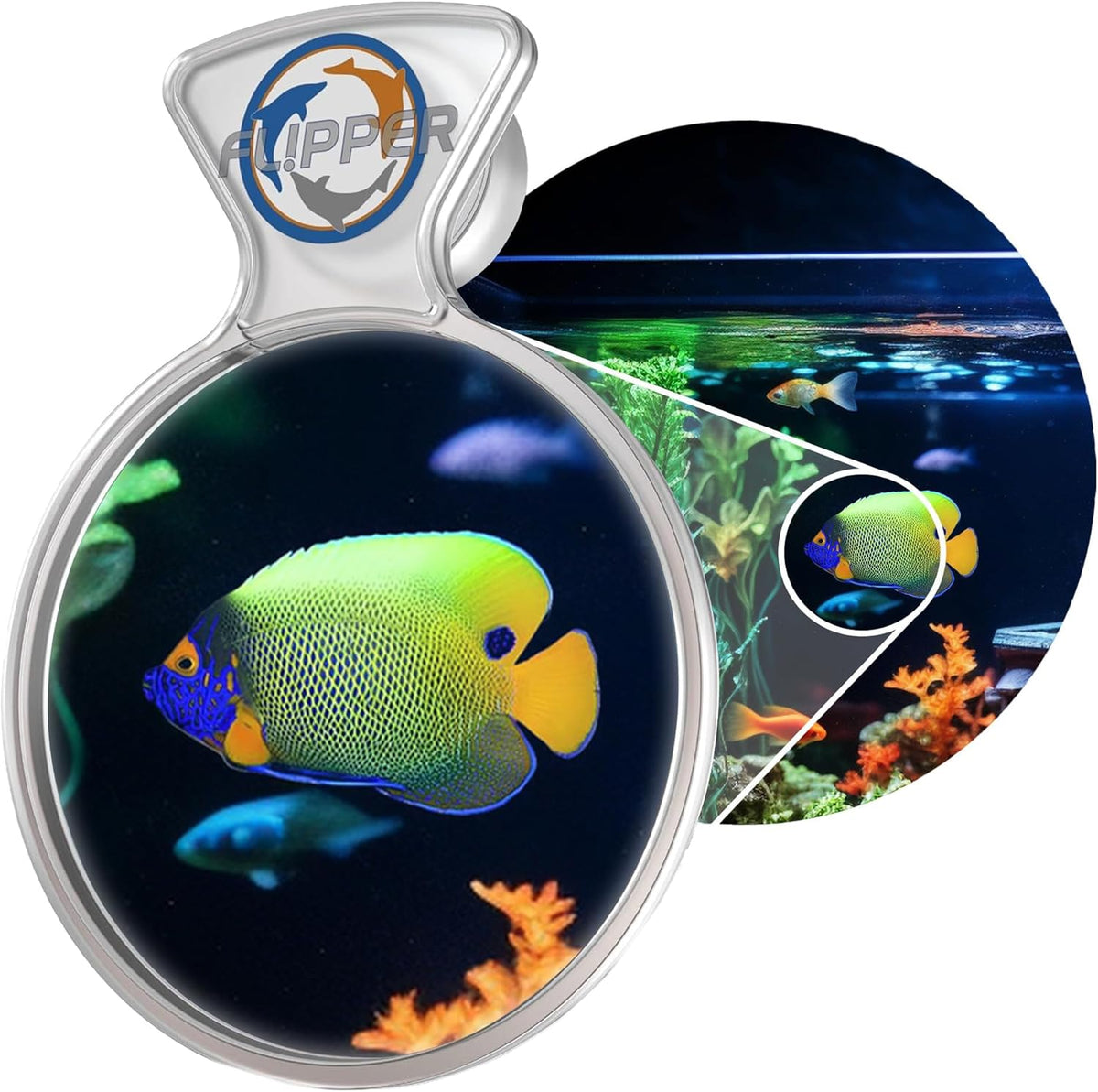 Flipper Cleaner FL!PPER Flipper DeepSee Viewer MAX 5" Coral and Fish Magnifier for Reef Tank and Freshwater Aquarium Photography and Videography - Magnetic Magnifying Glass