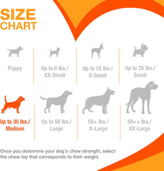 Nylabone Ring Bone Chew Toy for Puppies, Puppy Teething Toys, Puppy Enrichment Toys, Chicken Flavor, Medium Dogs