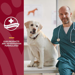 NaturVet Bladder Support Plus Cranberry for Dogs, 60 ct Soft Chews, Made in The USA with Globally Source Ingredients
