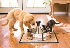 Drinkwell - PetSafe Drinkwell Stainless Steel 360 Multiple Pet Fountain - Scratch and Rust Resistant Automatic Water Dispenser for Cats or Dogs - Adjustable Flow Control - 128 Ounce (3.8 Liter) - Filters Included