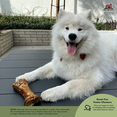 Redbarn Meaty Bones, All-Natural Single-Ingredient Chews, Great for Aggressive/Power Chewers 1 each