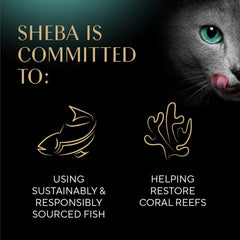 Sheba Perfect Portions Wet Cat Food Pate Roasted Turkey Entree, 2.6 oz. Twin-Pack Trays (24 Count, 48 Servings)