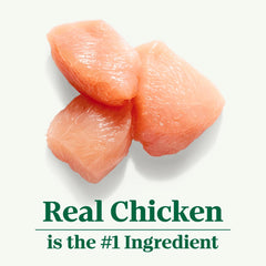 Nutro Natural Choice Puppy Dry Dog Food, Chicken and Brown Rice Recipe, 13 lbs