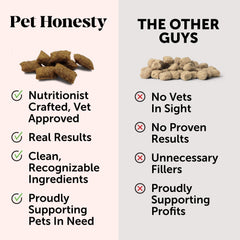 Pet Honesty Digestive Probiotic Powder Supplement for Cats - Digestive Support + Gut Health, Probiotic for Cats, Cat Constipation Relief, Bowel Support, Immunity & Overall Health - 120 Scoops