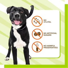 Pet Naturals BusyButter Balanced Belly Peanut Butter Bones, Rawhide-Free Chews for Medium/Large Dogs, Long Lasting Chew Bones, Probiotics and Pumpkin for Gut Health, 4 Count