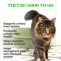Cat Urinary Tract Health Crunchy & Creamy Chews - Promotes Healthy Digestion & Normal Bladder Function with Cranberry, Antioxidants, & Probiotics - Kidney + Bladder Support Supplement (30 Day Supply)