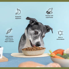 BADLANDS RANCH- Superfood Complete, Air-Dried Adult Dog Food - High Protein, Zero Fillers, Superfood Nutrition by Katherine Heigl (Wild Fish and Turkey Formula)
