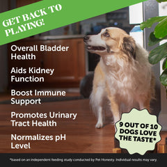 Bladder Health Cranberry Supplement for Dogs – Kidney Support for Dogs, Cranberry & D-Mannose for Dog Urinary Tract Health, Dog Urine & Bladder Support (Chicken)