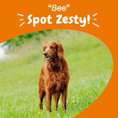 Zesty Paws Eye Supplement for Dogs - Vision Support with Antioxidants & Omega 3 Fatty Acids - 90 Chews