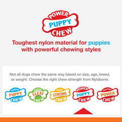 Nylabone Axis Bone Power Chew Toy for Dogs, Dog Toys for Aggressive Chewers, Vanilla Flavor