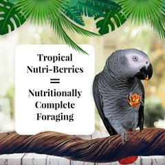 LAFEBER'S Tropical Fruit Nutri-Berries Pet Bird Food, Made with Non-GMO and Human-Grade Ingredients 3 lb