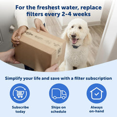 PetSafe Ion-X Cat and Dog Fountain Filters, 4-Pack, Dual Filtration for Cleaner Water, Replacement Filter for PetSafe Outlast Pumpless and Viva Pet Water Fountains
