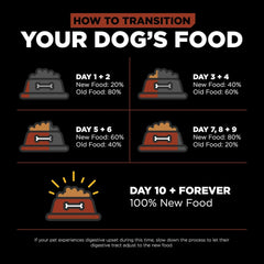Go! Solutions Skin + Coat Care, Dry Dog Food, Large Breed Adult Salmon Recipe with Grains