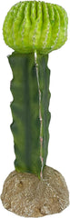 Multi Pet 48593325: Komodo Cactus Plant Moon, 7.5In