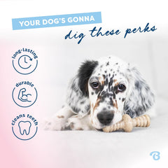 Benebone Puppy 2-Pack Maplestick/Zaggler Durable Dog Chew Toys for Gentle Chewers, Real Bacon, Real Maplewood, Made in USA, Tiny