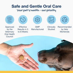 NaturVet ProDen PlaqueOff Soft Chews with Natural Kelp - for Large & Giant Breed Dogs - Supports Normal, Healthy Teeth, Gums, and Breath Odor in Dogs - 45 Soft Chews