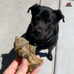 Redbarn Chew-A-Bulls Hydrant