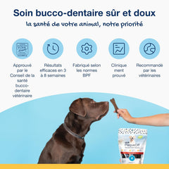 Proden PlaqueOff Sytem Mini Dental Care Bones for Dogs - Vegetable 12 oz, Green, 340G