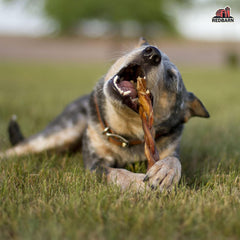 Redbarn Odor Free 7" Braided Bully Sticks for Dogs