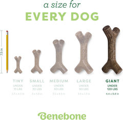 Benebone Maplestick Durable Dog Chew Toy for Aggressive Chewers, Real Maplewood, Made in USA