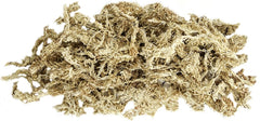 Galapagos (05203) 5-Star Terrarium Sphagnum Moss, Blond Sphagnum
