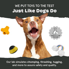 Barkbox Super Chewer Tough Dog Chew Toys for Aggressive Chewers, Dental Stimulating (Antler - Large)