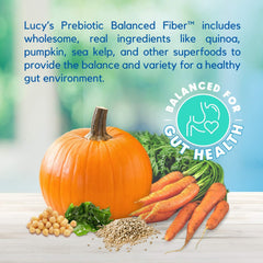 Lucy Pet Products Formulas for Life Duck, Pumpkin & Quinoa Dry Dog Food, All Life Stages, Digestive Health, Sensitive Stomach and Skin
