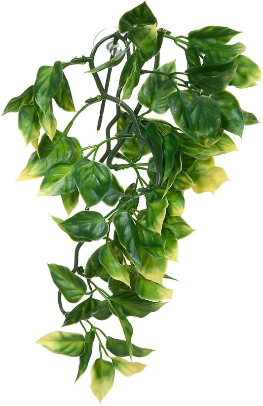 Exo Terra Plastic Terrarium Plant, Small, Amapallo