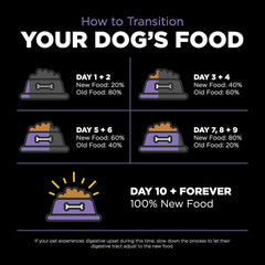 Go! Solutions Carnivore, Grain-Free, Protein Rich Dry Dog Food, Chicken, Turkey and Duck Senior Recipe, 22 lb Bag