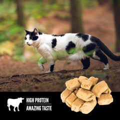 ORIJEN Regional RED Freeze Dried Cat Treats, Grain Free Treats for Cats, WholePrey Ingredients, 1.25oz
