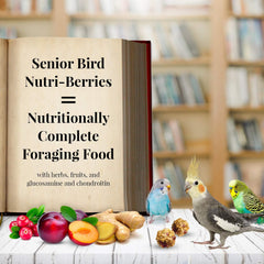 LAFEBER'S Senior Bird Nutri-Berries Pet Bird Food, Made with Non-GMO and Human-Grade Ingredients,  10 oz