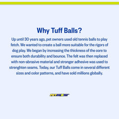 PetSport Tennis Balls for Dogs, Great for Boredom and Aggressive Chewers, Interactive, Certified Non-Toxic, Won’t Wear Down Teeth