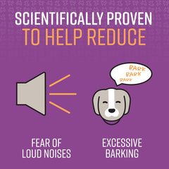 SENTRY PET Care Sentry Calming Collar for Dogs, Anxiety Reducing Pheromone Collar, Releases Pheromones for 30 Days, Helps Calm During Loud Noises and Separation, 1 Count