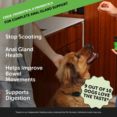 Pet Honesty Scoot Stopper - Digestion & Health Supplement for Dogs - Dog Anal Gland Support, Diarrhea & Bowel Support, Fiber & Dog Probiotics and Digestive Enzymes (90 ct)