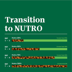 Nutro Natural Choice Adult Dry Dog Food, Lamb and Brown Rice Recipe,