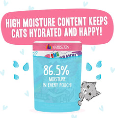 Weruva B.F.F. OMG - Best Feline Friend Oh My Gravy!, Date Nite! with Duck & Salmon in Gravy Cat Food