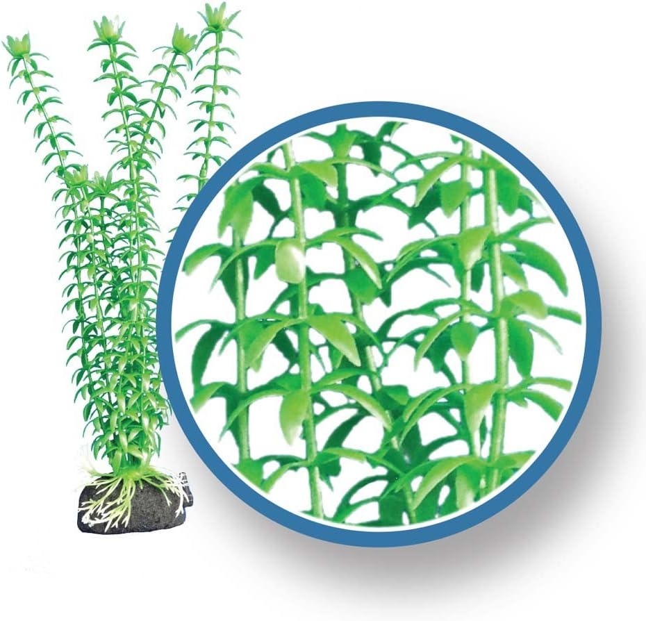 Freshwater Pro Series Tonina Ornament, 12"