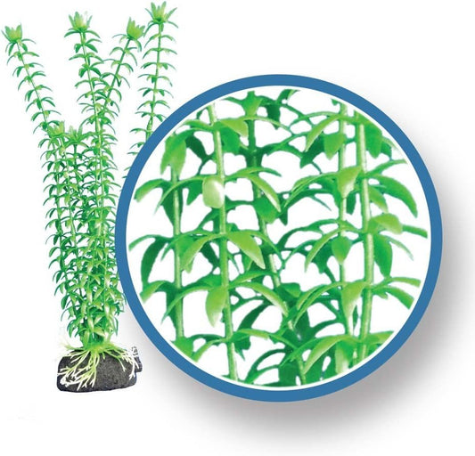 Freshwater Pro Series Tonina Ornament, 12"