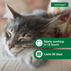 Advantage II Cat Vet-Recommended Flea Treatment & Prevention | 2-Month Supply
