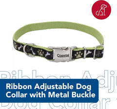 Coastal Pet - Ribbon - Adjustable Dog Collar with Metal Buckle, Pink Paisley