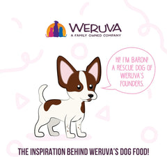 Weruva Meals 'n More Natural Wet Dog Food, Wok The Dog Plus Digestive Support (Pack of 12)