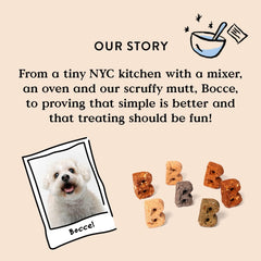 Bocce's Bakery Oven Baked Turmeric Latte Treats for Dogs, Wheat-Free Everyday Dog Treats, Made with Real Ingredients, Baked in The USA, All-Natural Biscuits, Coconut, Vanilla, & Turmeric, 5 oz
