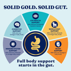 Solid Gold Toy & Small Breed Dog Food Dry Small Bites – Real Bison & Healthy Whole Grain Dogfood – Potato Free, High Fiber Healthy Dog Kibble w/Probiotics for Gut Health – NutrientBoost™ 11-lb