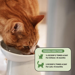Pet Honesty Digestive Probiotic Powder Supplement for Cats - Digestive Support + Gut Health, Probiotic for Cats, Cat Constipation Relief, Bowel Support, Immunity & Overall Health - 120 Scoops