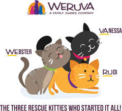Weruva B.F.F. OMG - Best Feline Friend Oh My Gravy!, Chicken & Salmon Stir It Up with Chicken & Salmon in Gravy