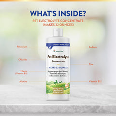 NaturVet Pet Electrolyte Concentrate for Dogs and Cats, 16 oz Liquid Concentrate, Made in The USA with Globally Source Ingredients